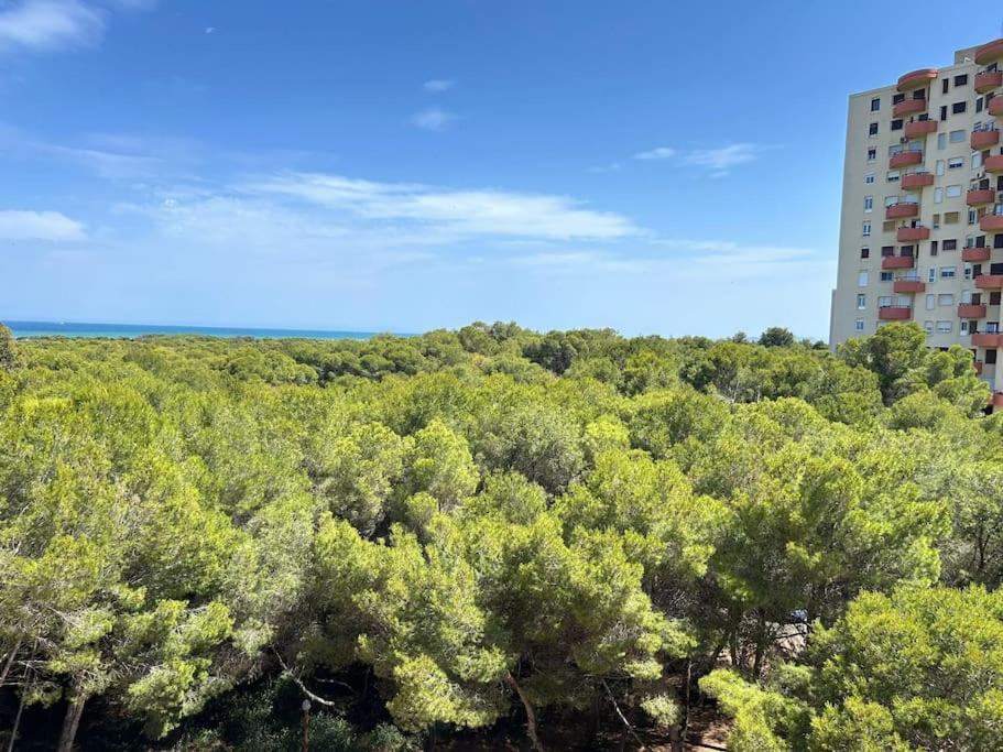Elegante Apartamento Con Piscina En El Saler Valencia Eksteriør bilde